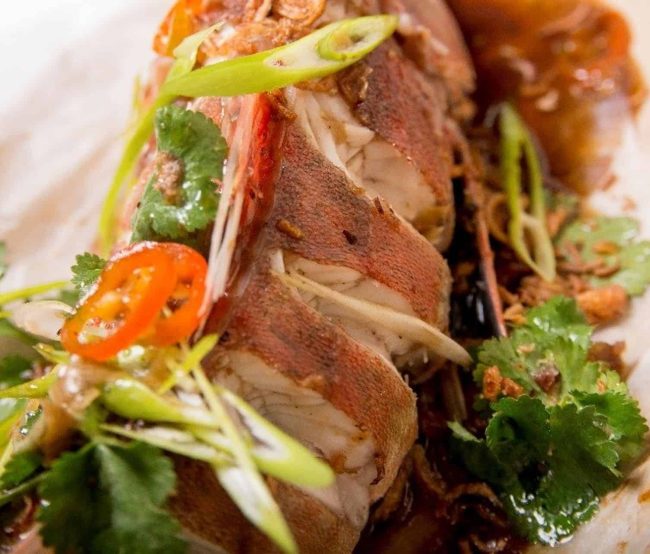 csm_Steamed_whole_gurnard_ginger_black_bean_crispy_shallots_21c32d262d