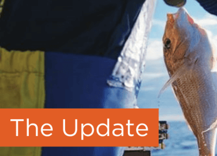 csm_Update_Tile_Fish_af534010ec